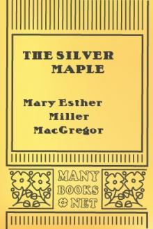 The Silver Maple